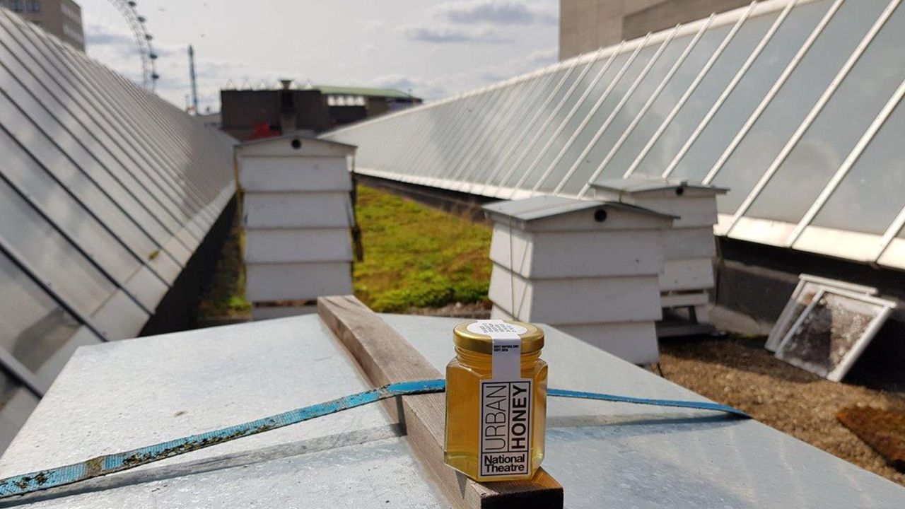 Úle a vzorka medu na streche NT v Londýne. Zdroj: National Theatre London